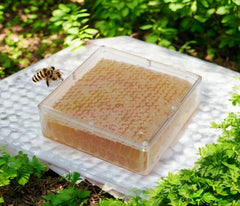 Comb Honey