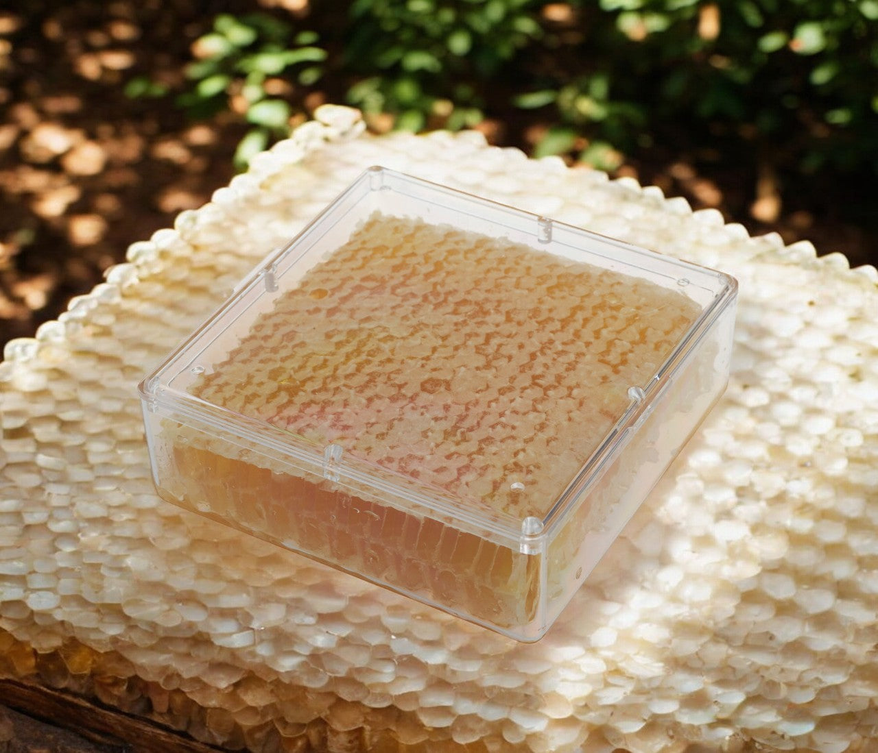 Comb Honey